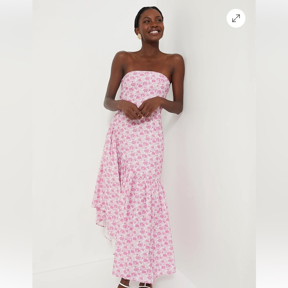 Tuckernuck Hyacinth House Ruffle Floral Camellia Strapless Dress